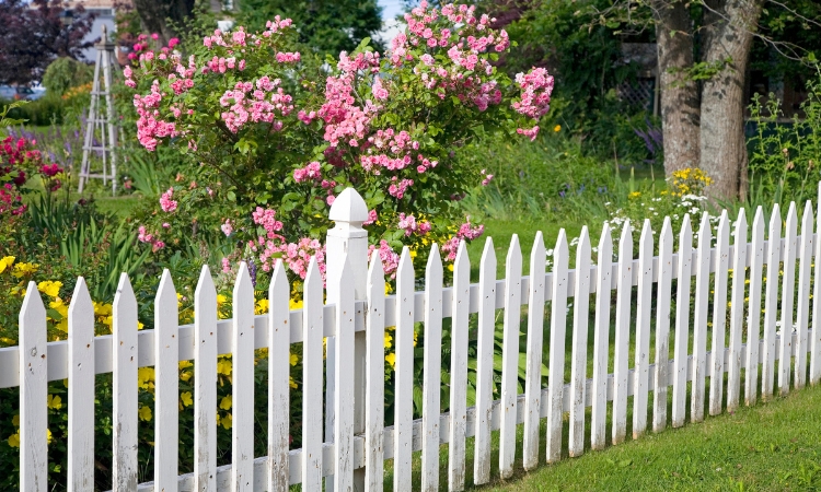 Garden Fence Painting Colours