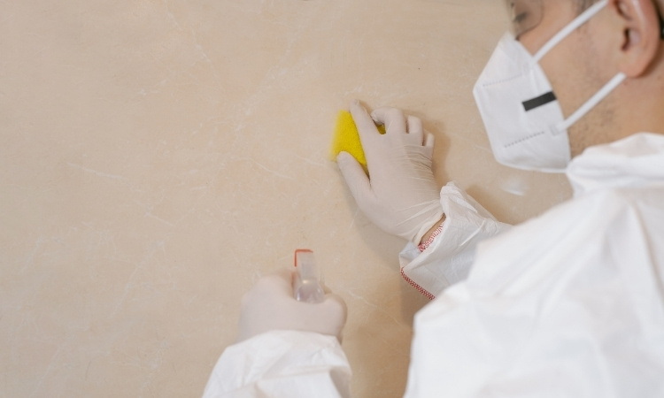 how to remove food stains