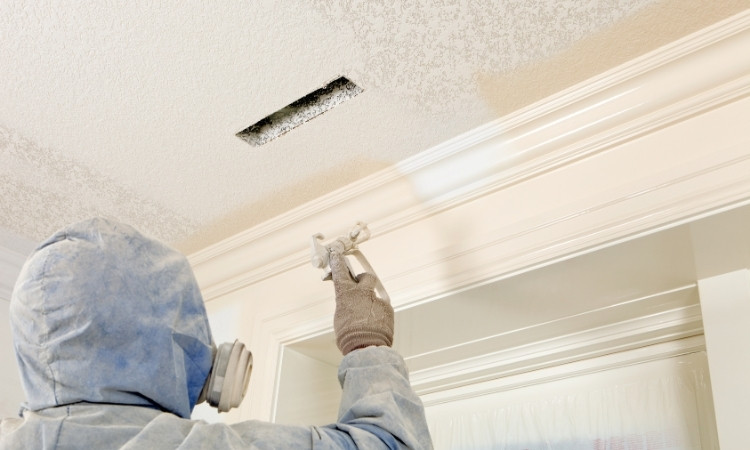 anti-mould paint