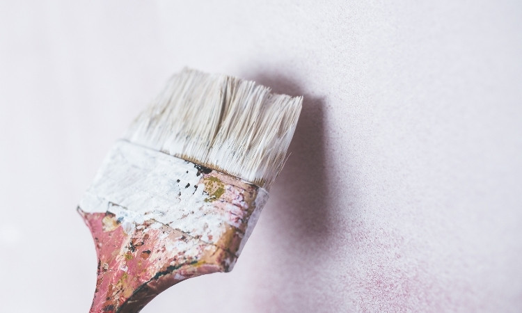 anti mould paint