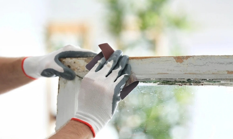 Replace Paint from Windows