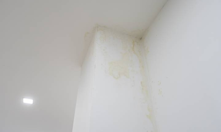 How to Get Scuff Marks Off Walls